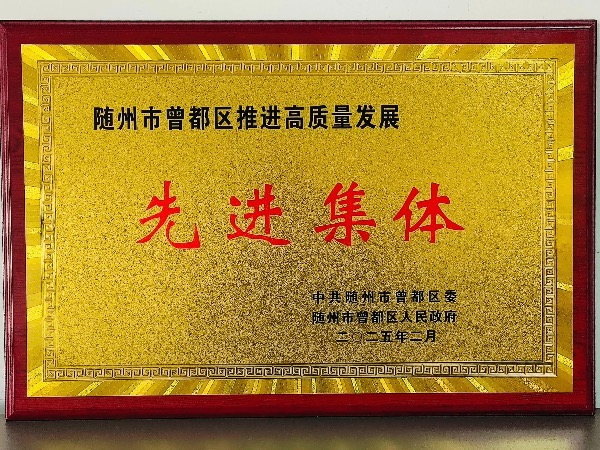 湖北華威公司榮獲曾都區(qū)2024年度“高質(zhì)量發(fā)展先進集體”獎
